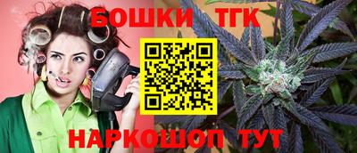 МДПВ Будённовск