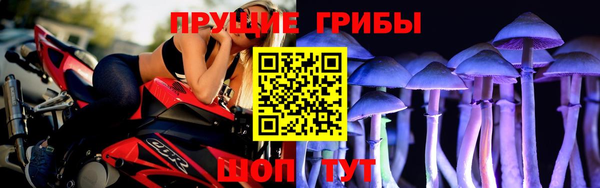 Казань  Галлюциногенные грибы GOLDEN TEACHER  магазин продажи   Вход с VPN 